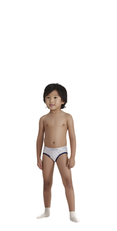 Model
